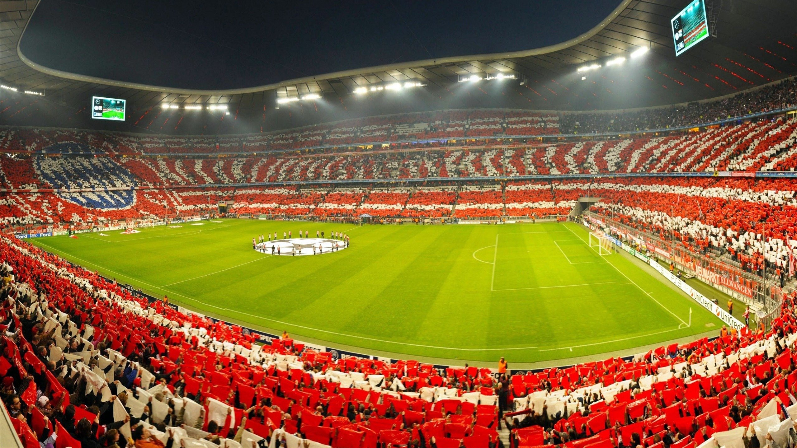 全国游泳冠军赛 16岁小将打破全国纪录震惊泳坛